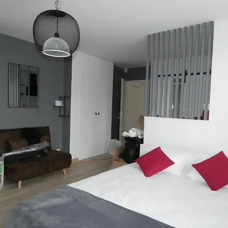 Homey - Avec Sdb Privee Colocation De Luxe - Hyper Centre - Aux Portes De Geneve Apartment Annemasse
